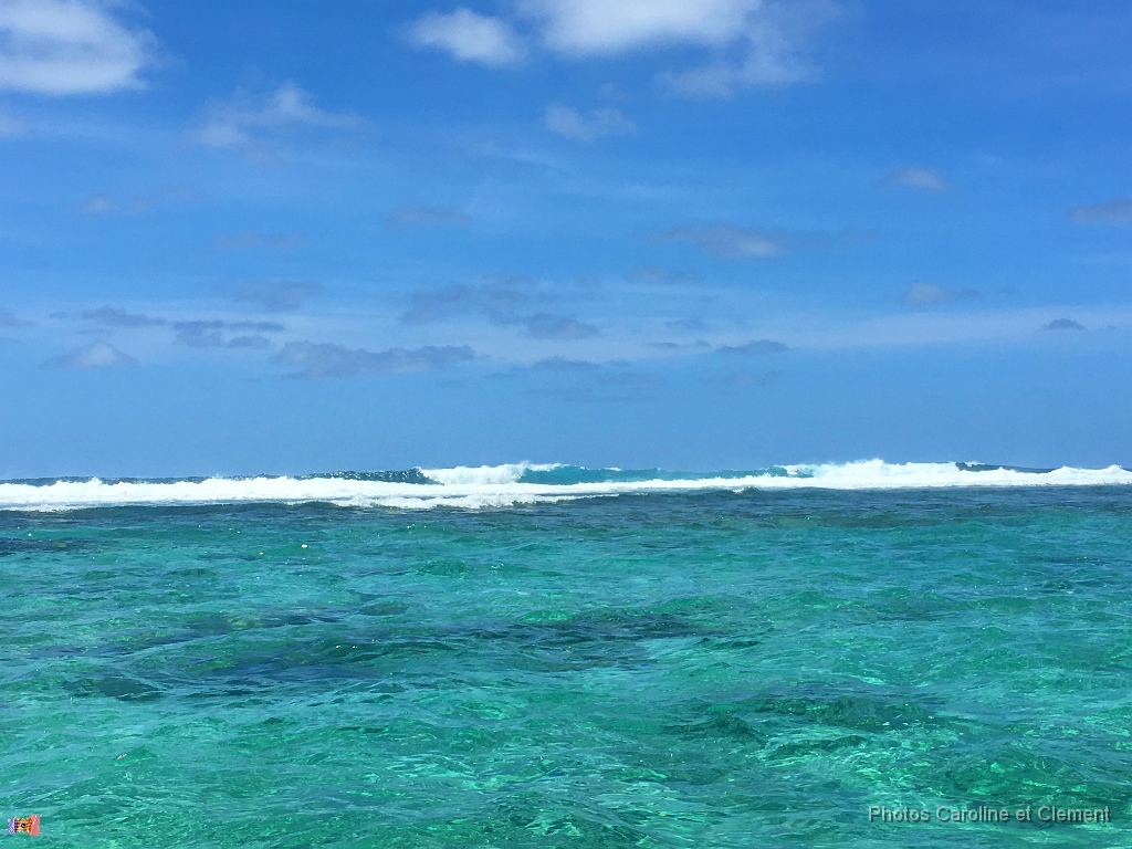Ile Maurice Novembre 2016 80.jpg - Ile Maurice - Novembre 2016.